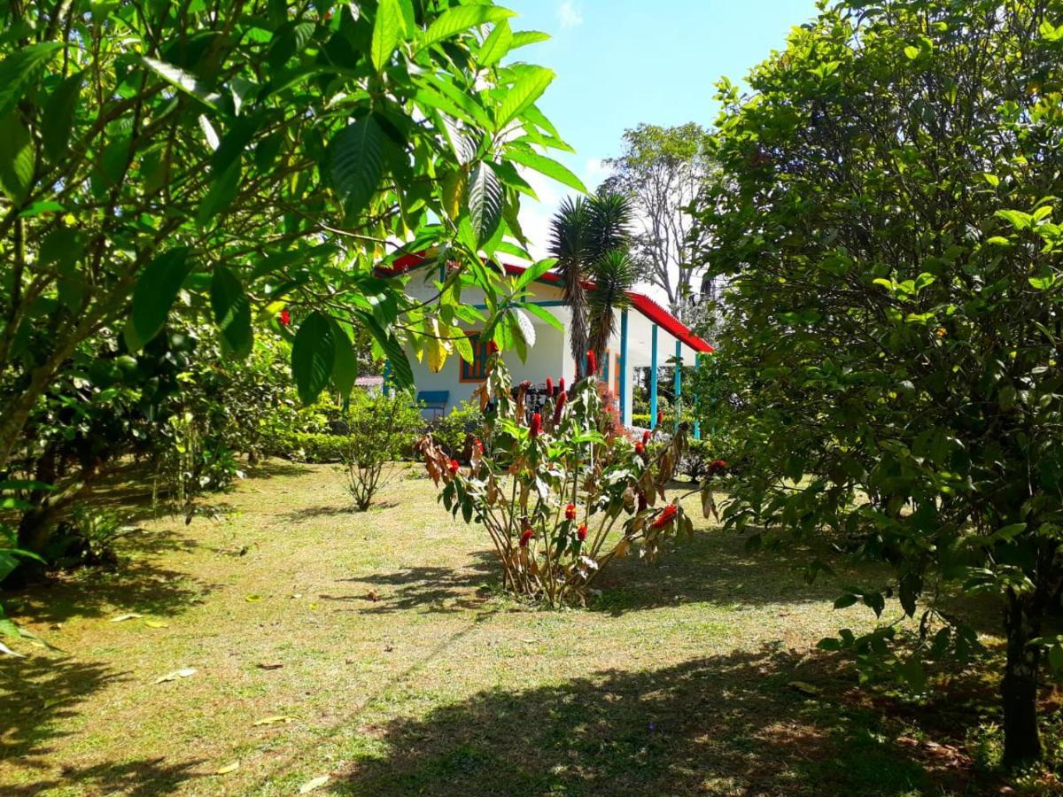 Hostal Campestre El Santuario Filandia Eksteriør bilde