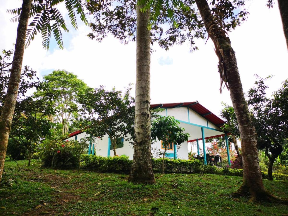 Hostal Campestre El Santuario Filandia Eksteriør bilde